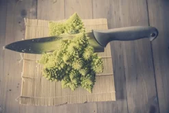 Couteau éminceur 25 Cm Acier Polypropylène (pp) Unie Colour Proof Arcos -Ustensiles De Cuisine Boutique Colour Prof 241100 246661 web image 24ff 1