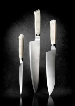 Couteau D'office 9 Cm Acier Plastique Unie Damas 67 Deglon -Ustensiles De Cuisine Boutique ECF 33735 F91 web image 5300